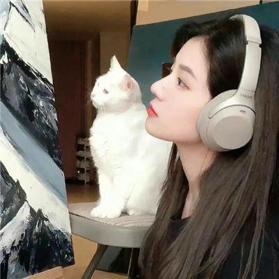 无冕天王